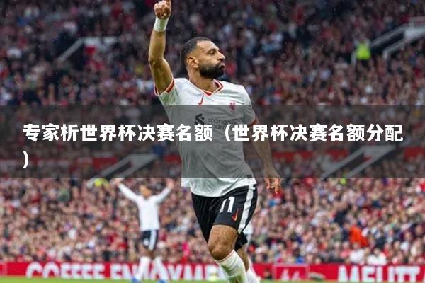 专家析世界杯决赛名额（世界杯决赛名额分配）