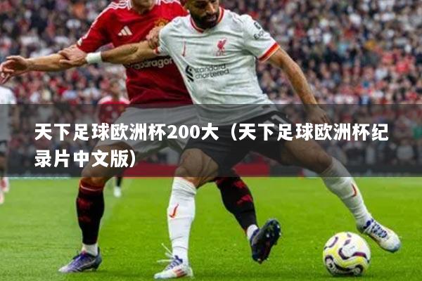 天下足球欧洲杯200大（天下足球欧洲杯纪录片中文版）