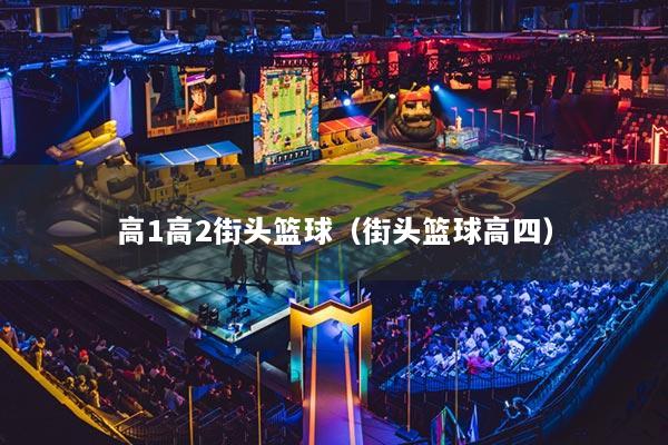 高1高2街头篮球（街头篮球高四）