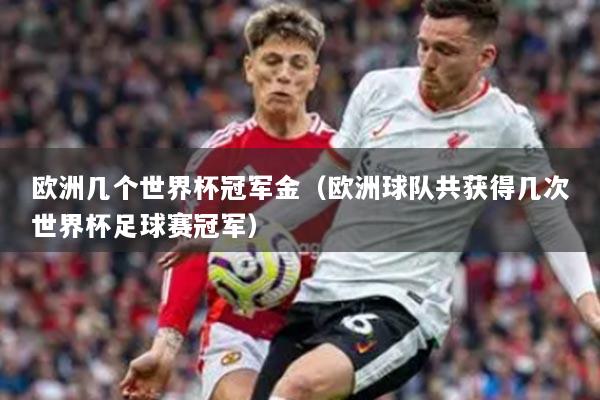 欧洲几个世界杯冠军金（欧洲球队共获得几次世界杯足球赛冠军）