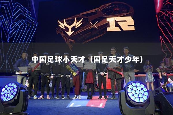 中国足球小天才（国足天才少年）