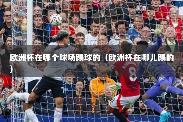欧洲杯在哪个球场踢球的（欧洲杯在哪儿踢的）