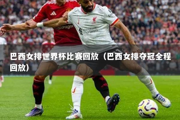 巴西女排世界杯比赛回放（巴西女排夺冠全程回放）