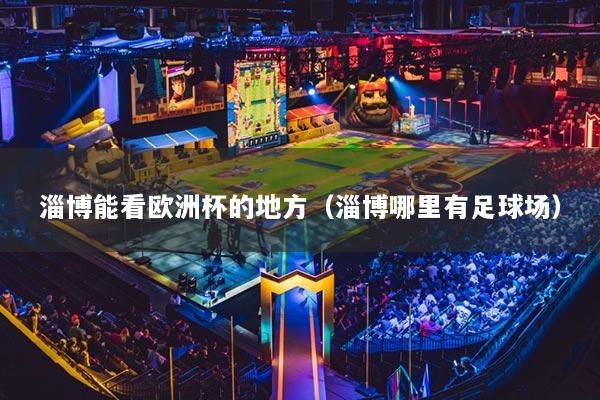 淄博能看欧洲杯的地方（淄博哪里有足球场）