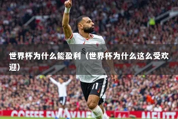 世界杯为什么能盈利（世界杯为什么这么受欢迎）