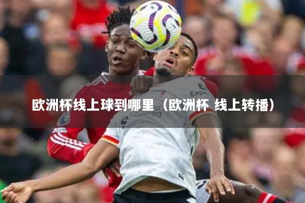 欧洲杯线上球到哪里（欧洲杯 线上转播）
