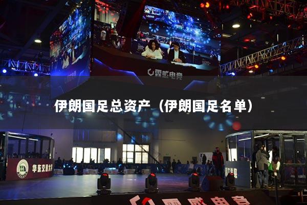 伊朗国足总资产（伊朗国足名单）